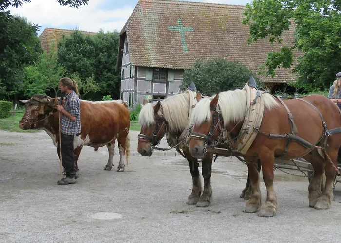 Holiday home Maison 78m2, Garden, Private Parking